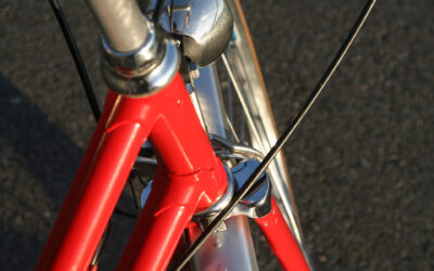 Testbeitrag
